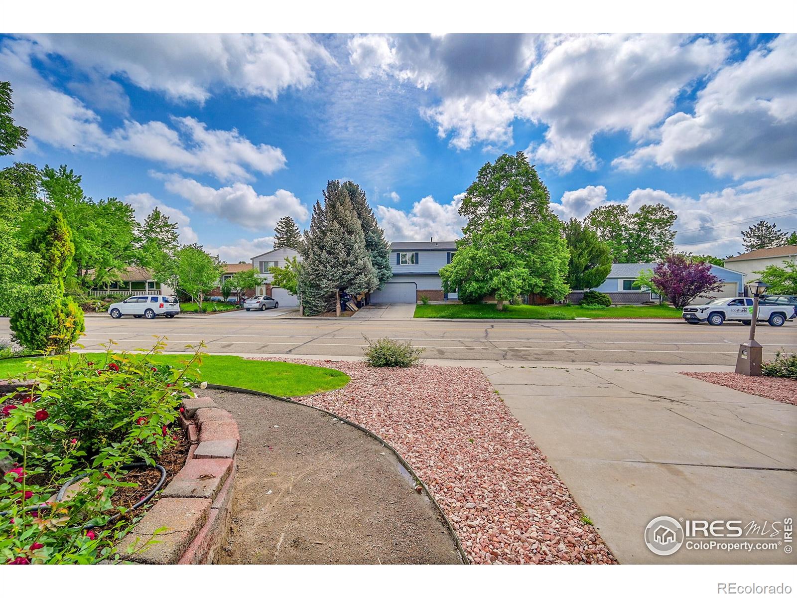 MLS Image #4 for 2113  spencer street,longmont, Colorado
