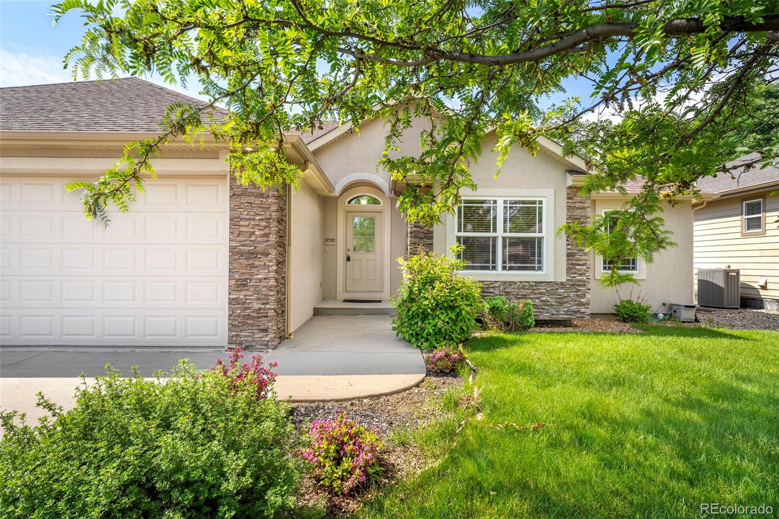 MLS Image #2 for 870  norway maple drive,loveland, Colorado
