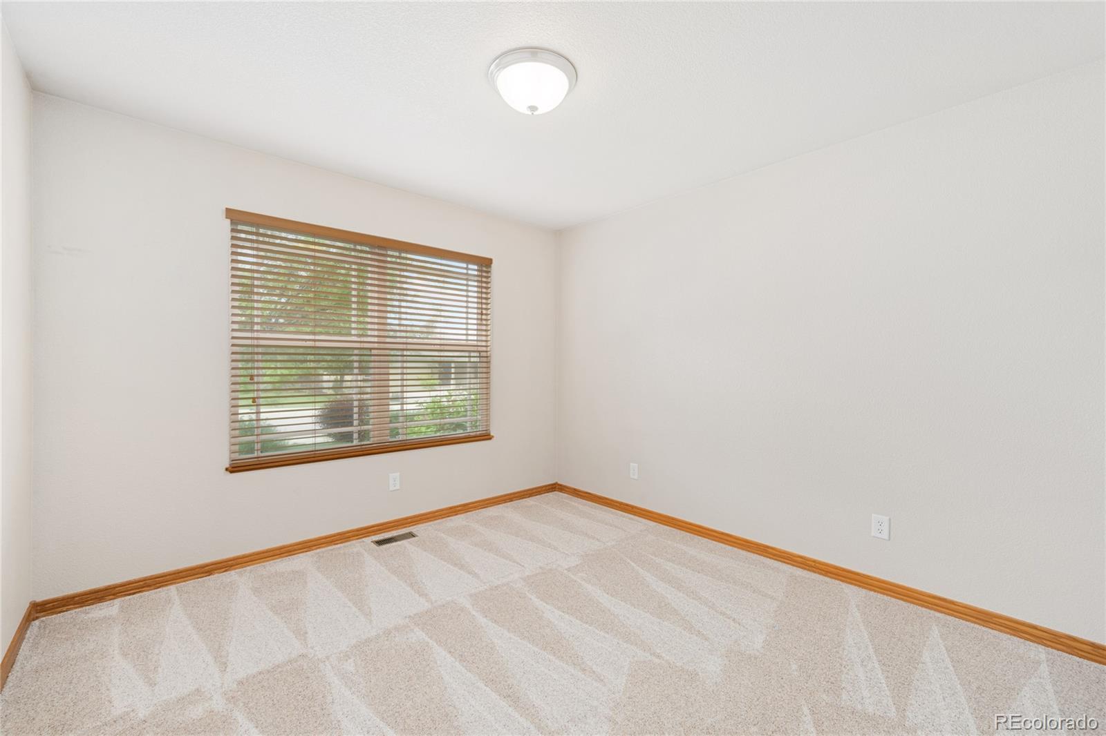 MLS Image #24 for 870  norway maple drive,loveland, Colorado