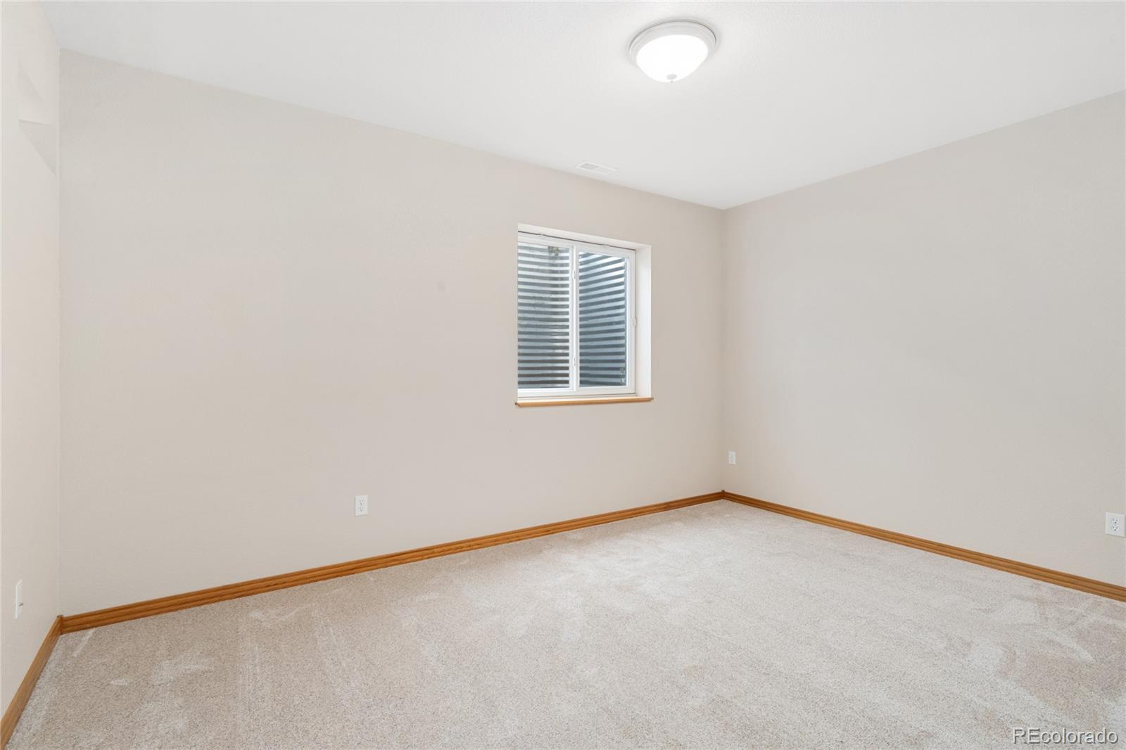 MLS Image #33 for 870  norway maple drive,loveland, Colorado