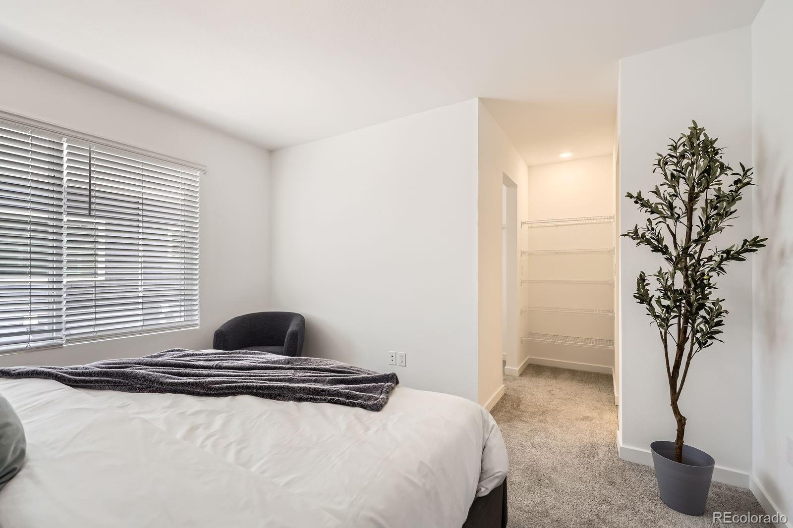 MLS Image #15 for 348 n geneva street,aurora, Colorado