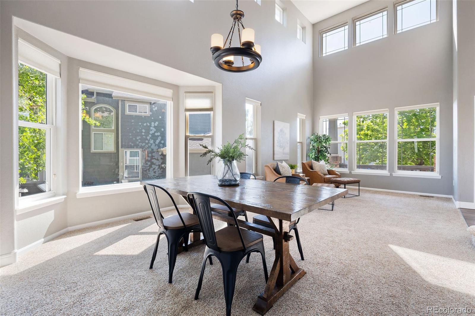 MLS Image #6 for 9745  hummingbird place,littleton, Colorado