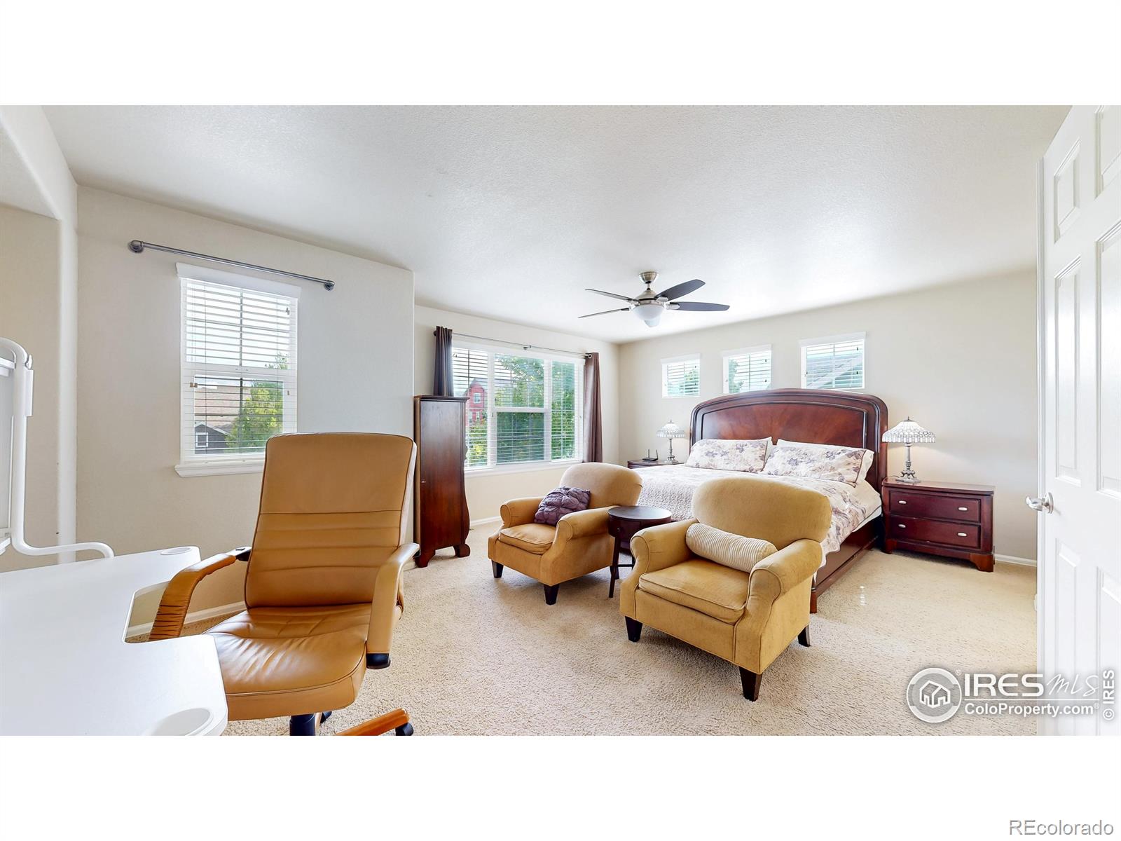 MLS Image #18 for 3717  desert ridge circle,castle rock, Colorado