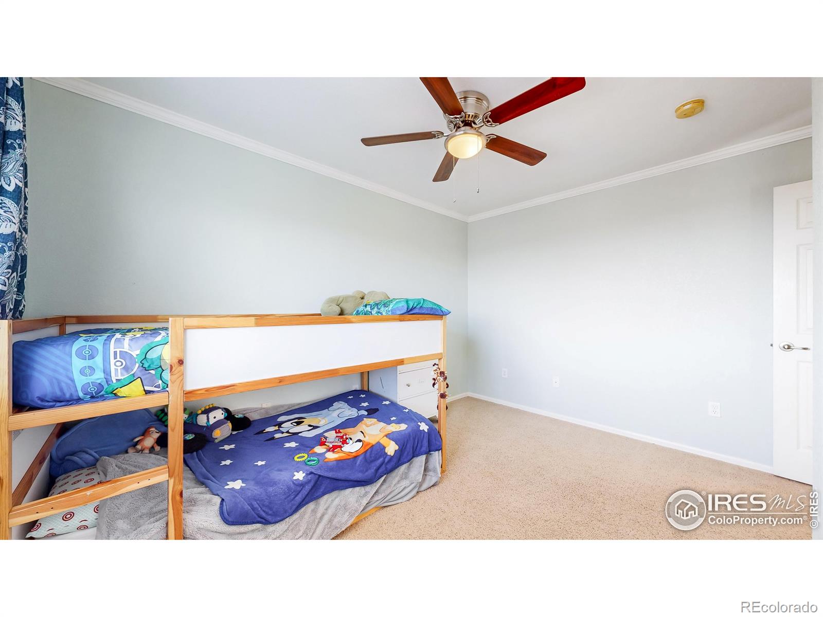 MLS Image #27 for 3717  desert ridge circle,castle rock, Colorado