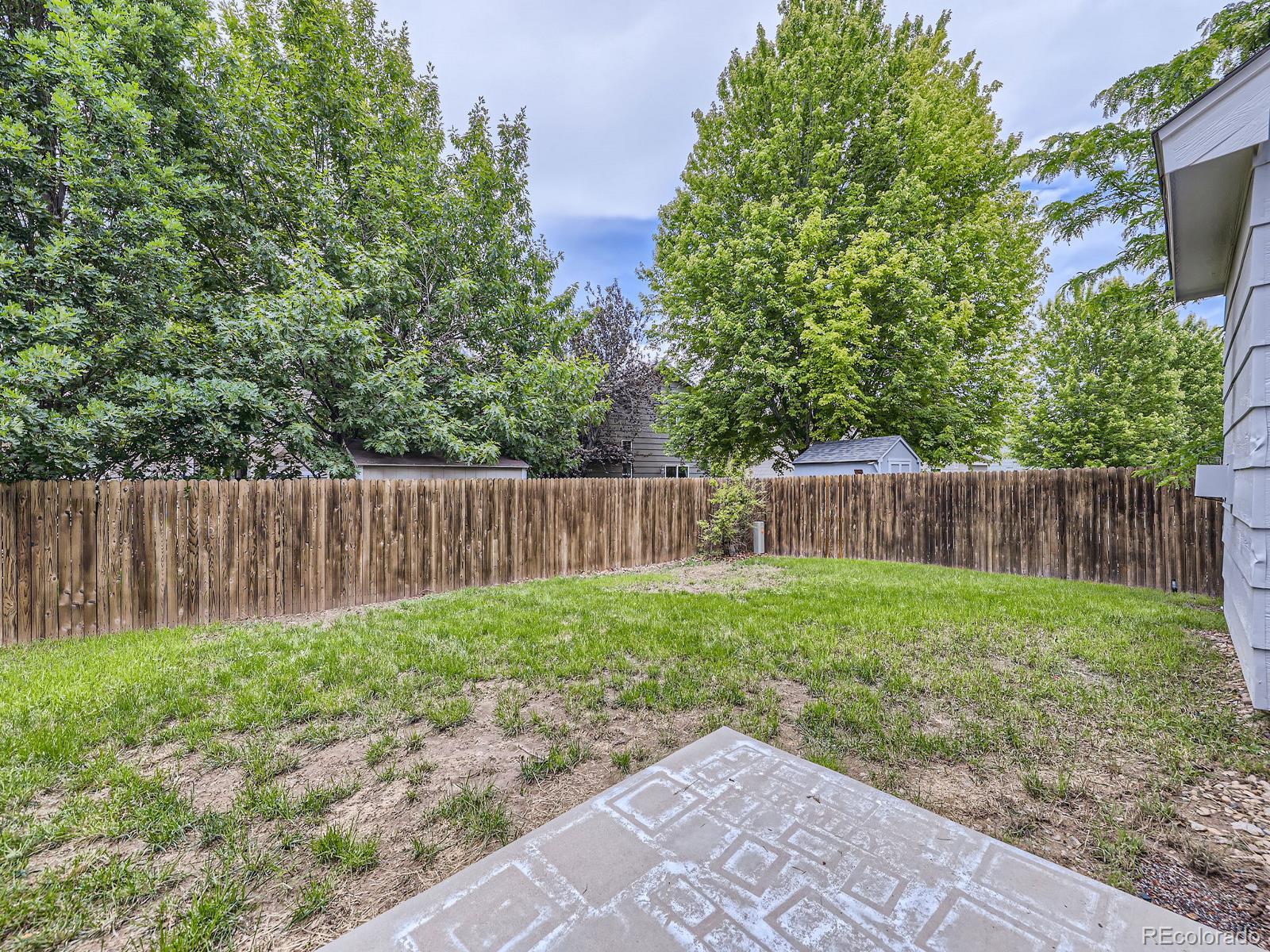 MLS Image #28 for 6447  st vrain ranch boulevard,longmont, Colorado