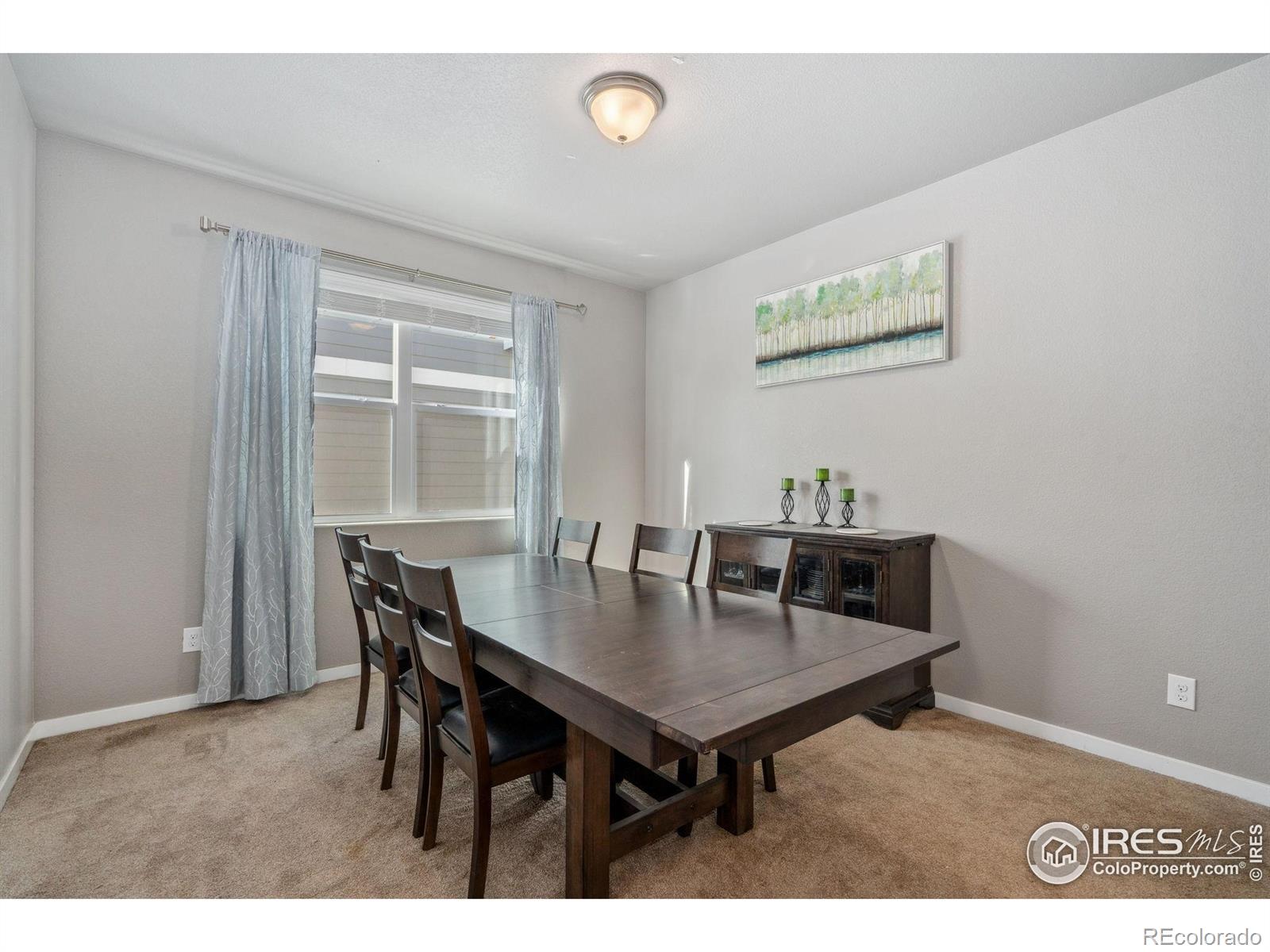 MLS Image #6 for 5176  chantry drive,windsor, Colorado