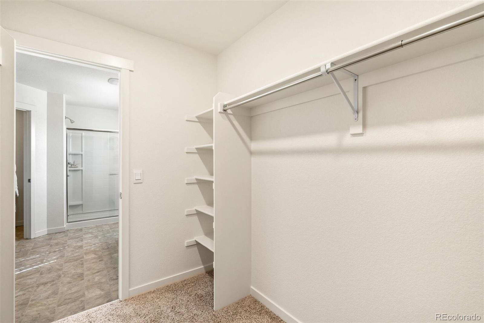 MLS Image #26 for 6475  ankina drive,windsor, Colorado