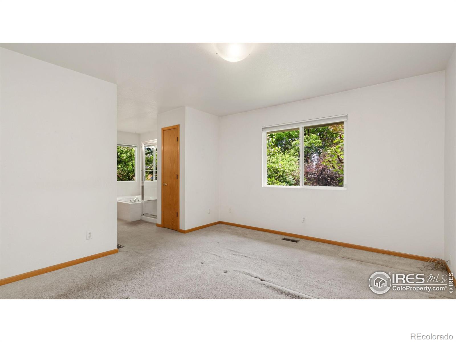 MLS Image #10 for 2833  sunstone drive,fort collins, Colorado