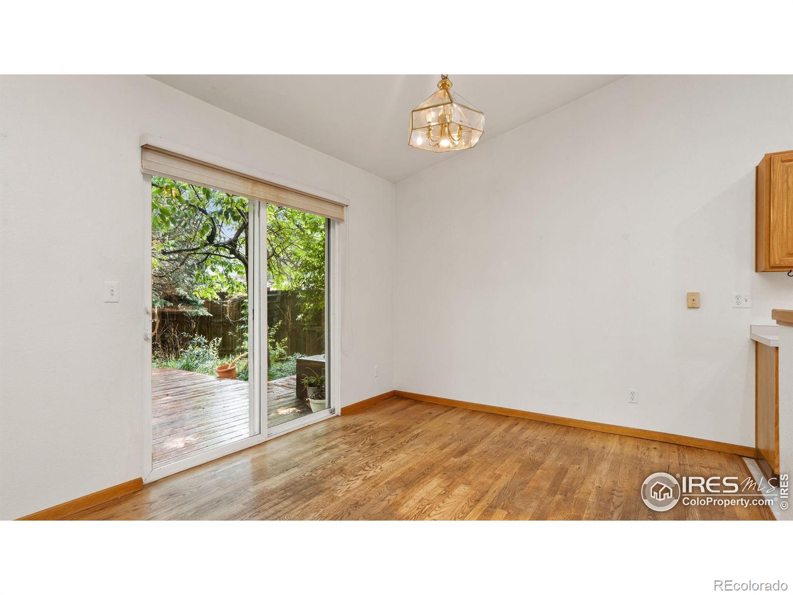 MLS Image #6 for 2833  sunstone drive,fort collins, Colorado