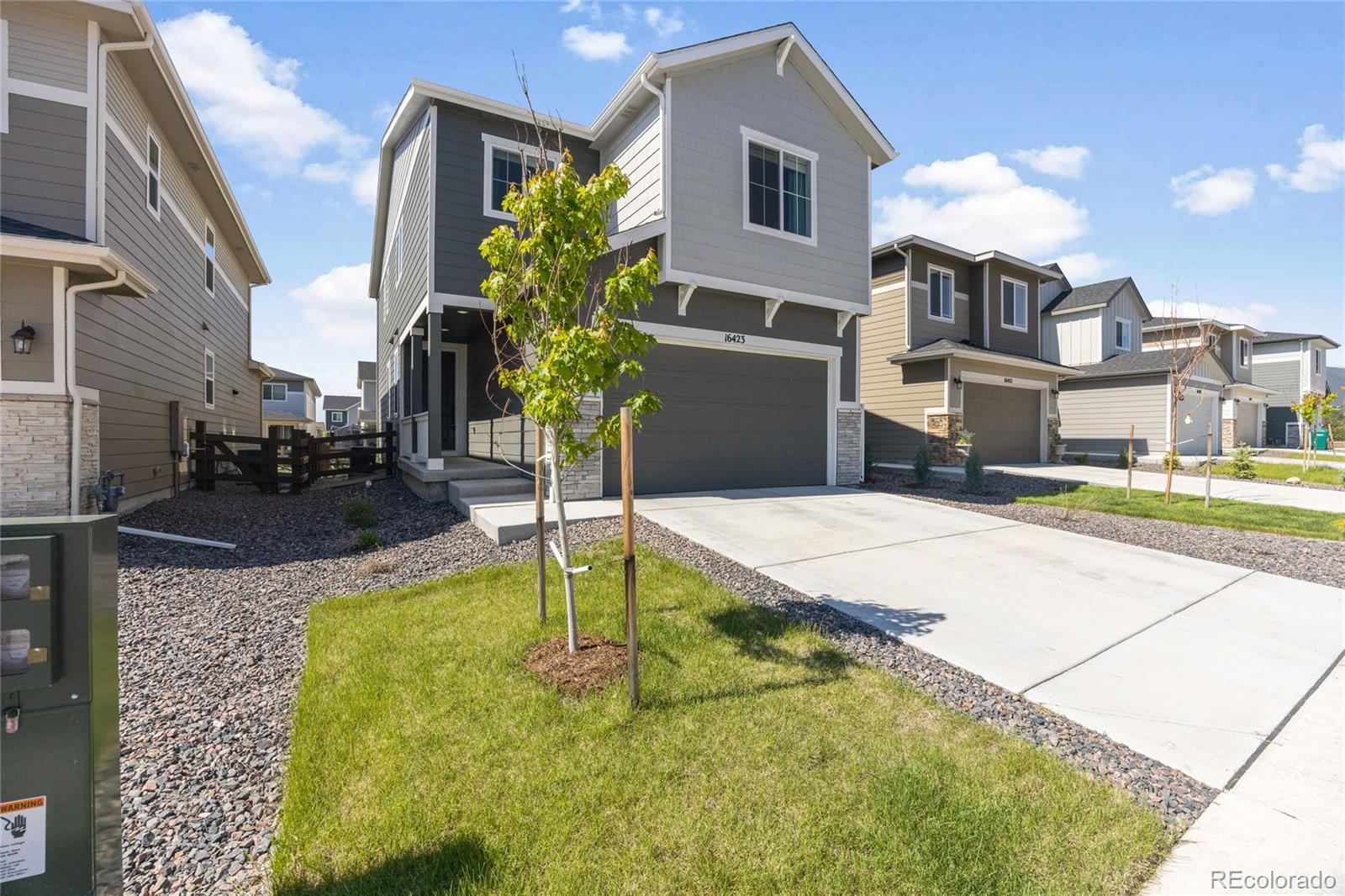 MLS Image #2 for 16423  mountain flax drive,monument, Colorado