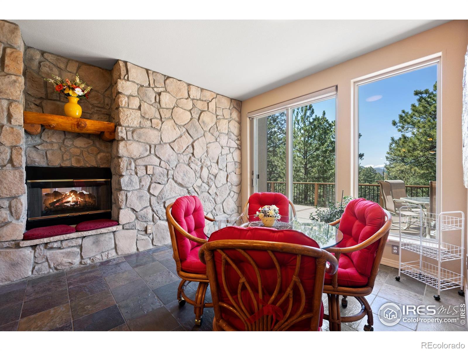 MLS Image #10 for 23  hess avenue,golden, Colorado