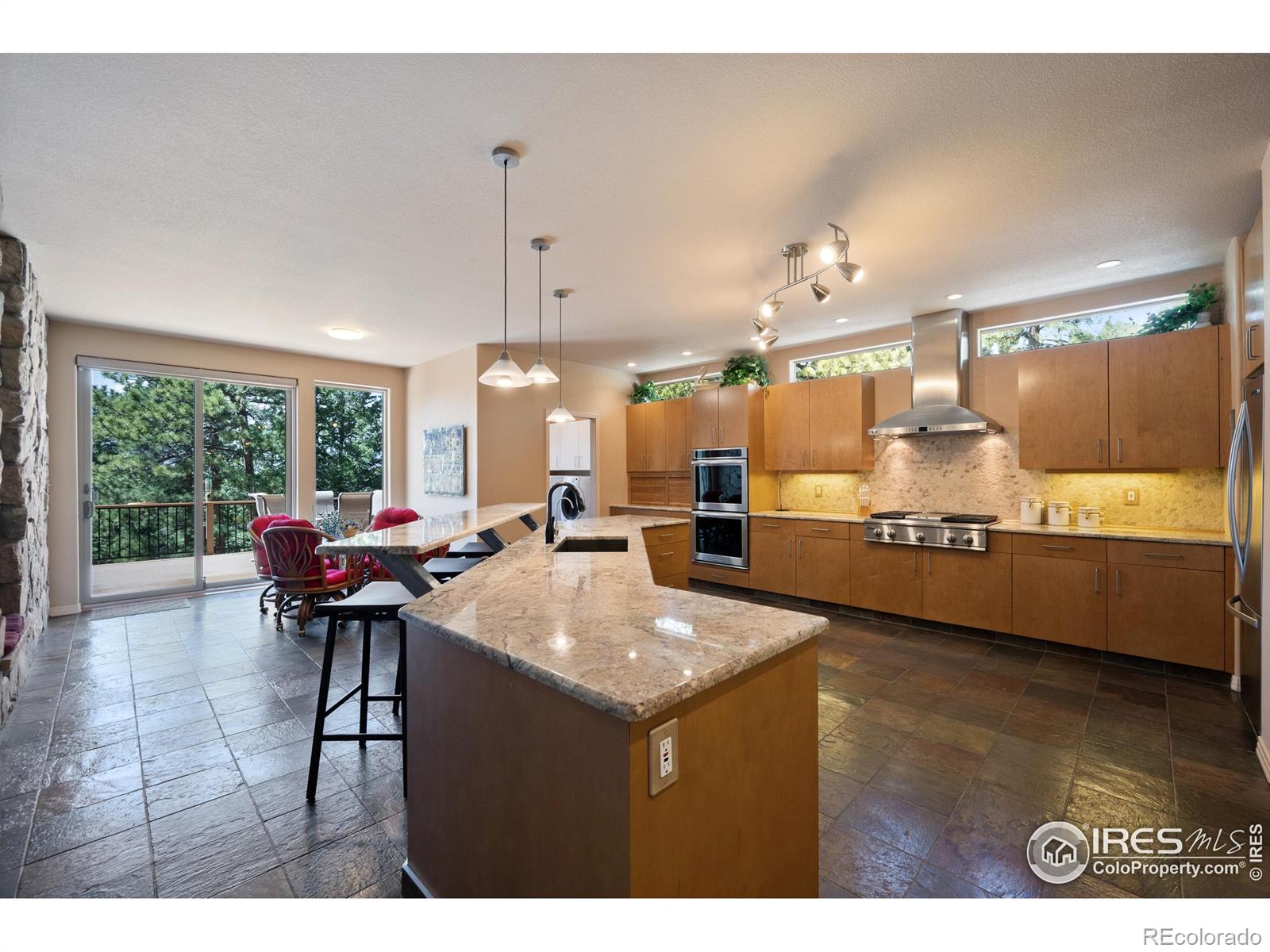 MLS Image #8 for 23  hess avenue,golden, Colorado