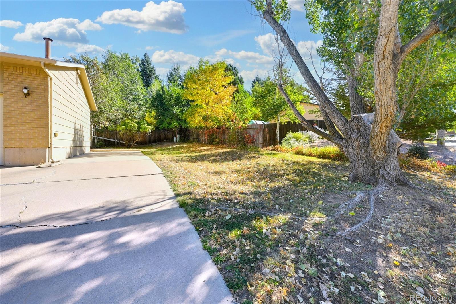 MLS Image #7 for 3325  raindrop drive,colorado springs, Colorado
