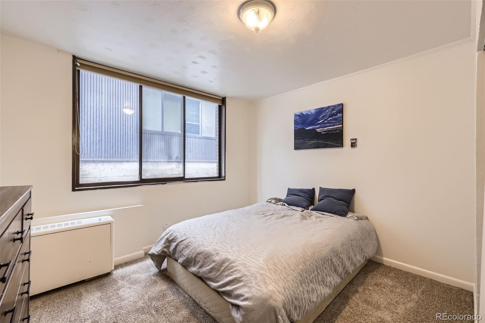 MLS Image #16 for 830 n sherman street,denver, Colorado