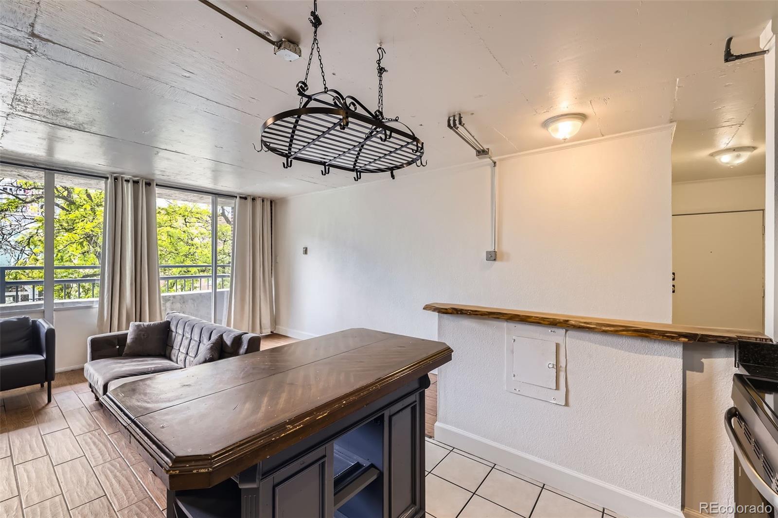 MLS Image #9 for 830 n sherman street,denver, Colorado