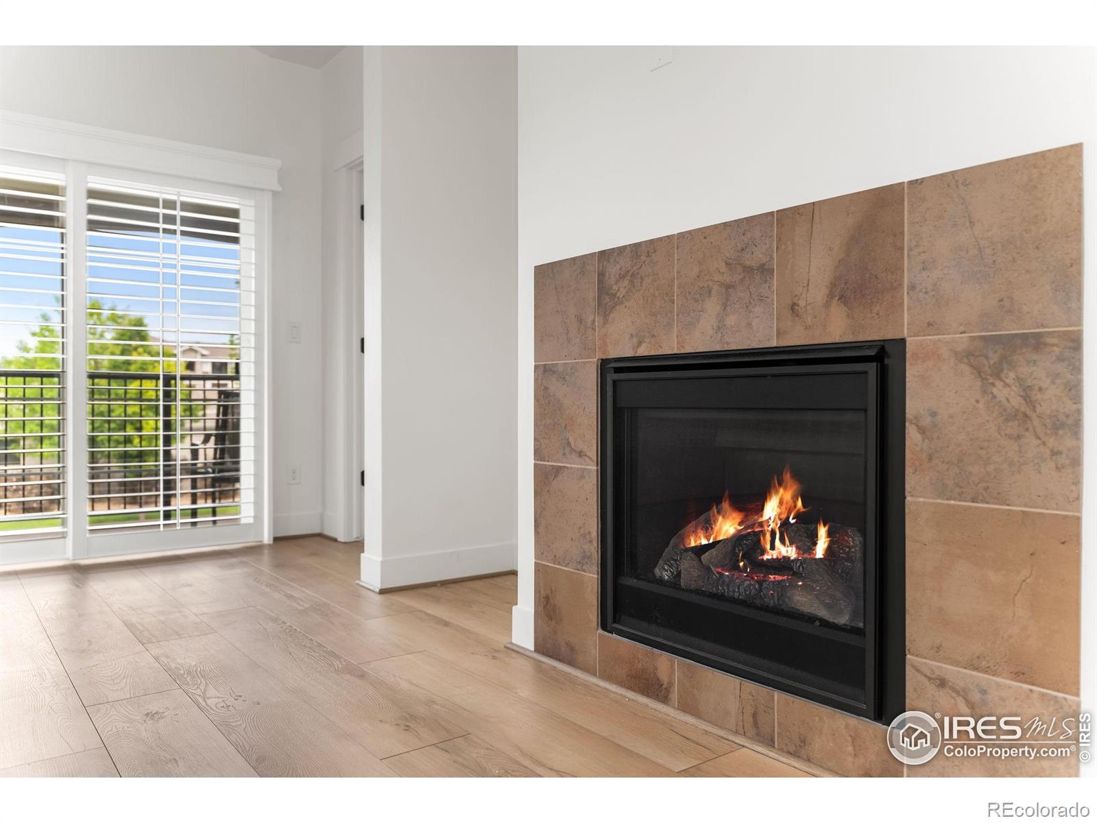 MLS Image #12 for 5020  cinquefoil lane,fort collins, Colorado