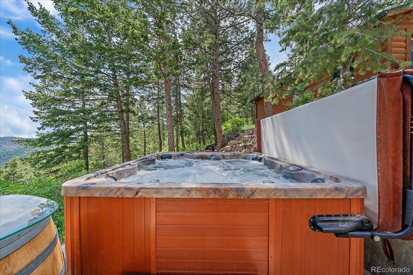 MLS Image #38 for 10390  hondah drive,littleton, Colorado