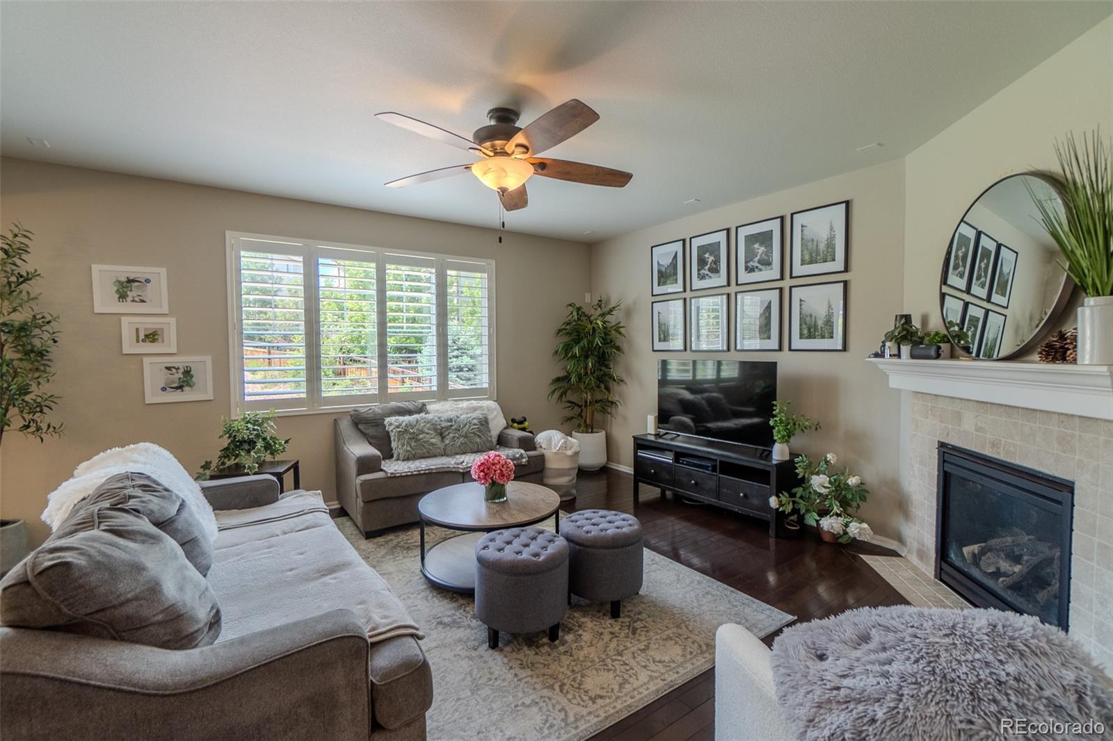 MLS Image #11 for 7312  grady circle,castle rock, Colorado