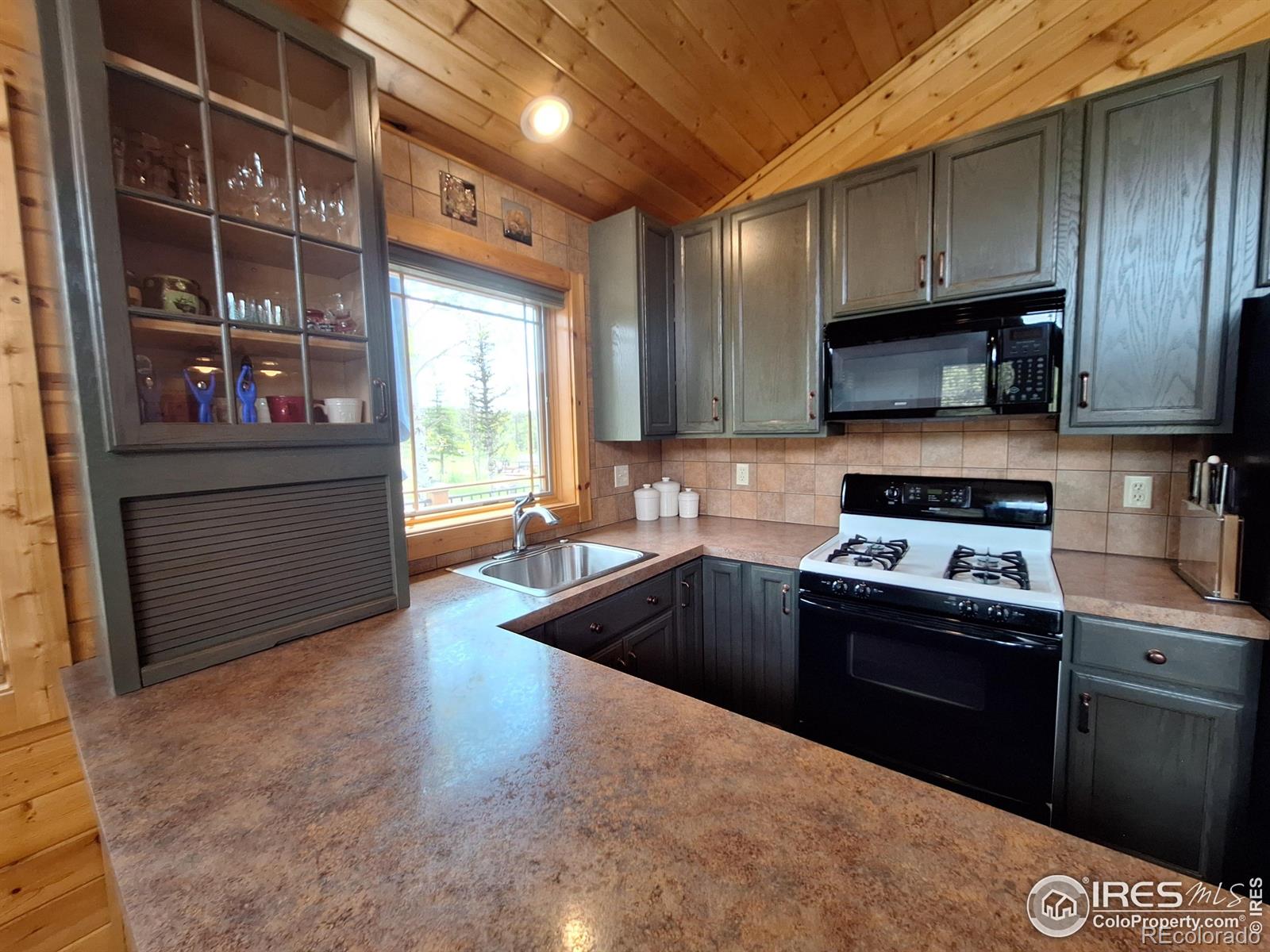 MLS Image #11 for 56  pamlico court,red feather lakes, Colorado