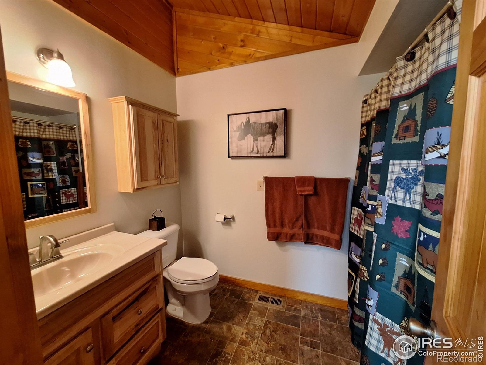 MLS Image #14 for 56  pamlico court,red feather lakes, Colorado