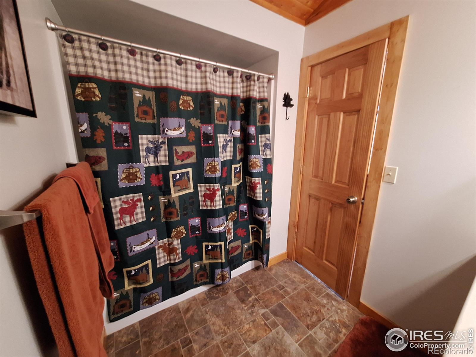 MLS Image #15 for 56  pamlico court,red feather lakes, Colorado
