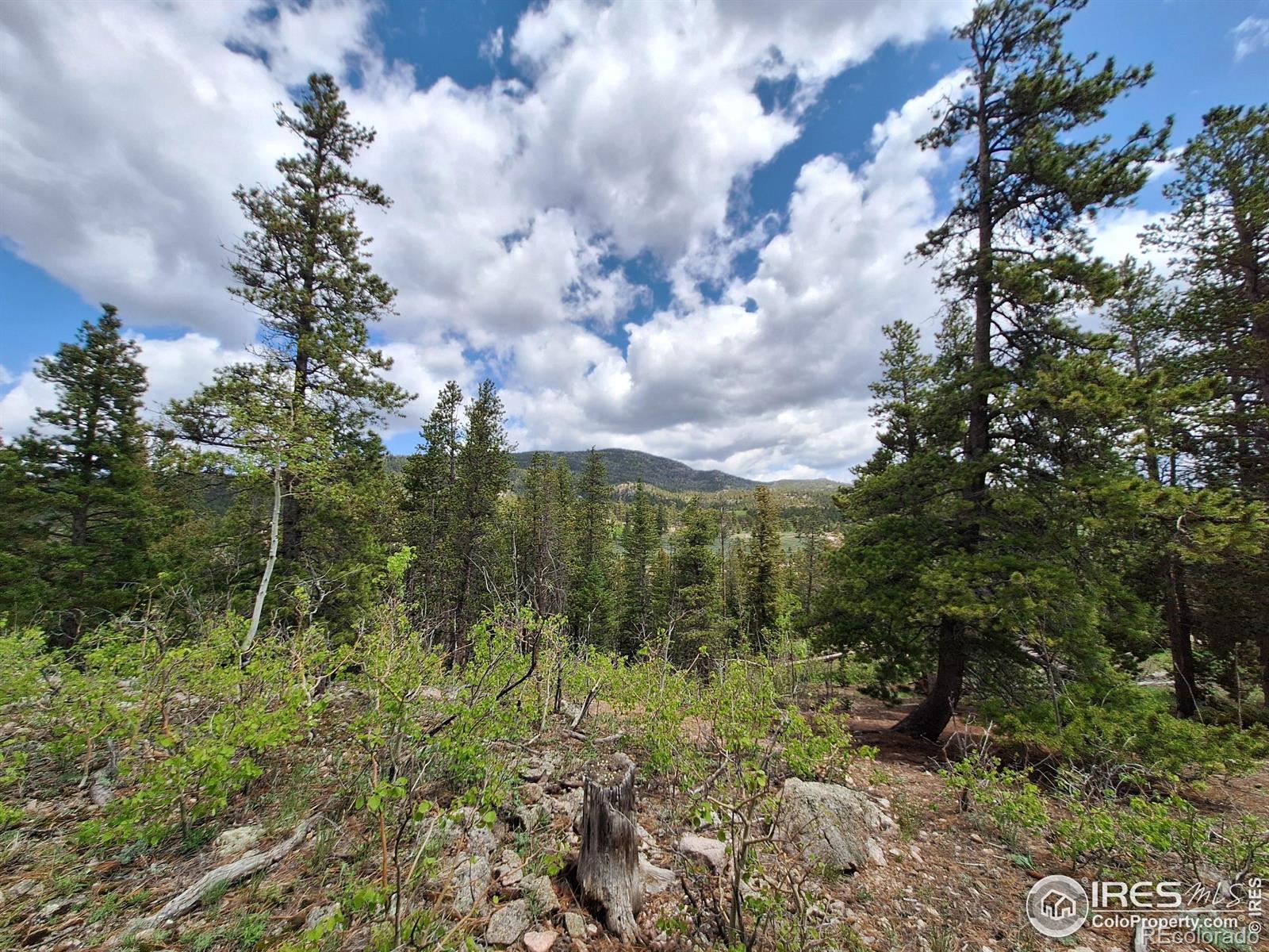MLS Image #32 for 56  pamlico court,red feather lakes, Colorado