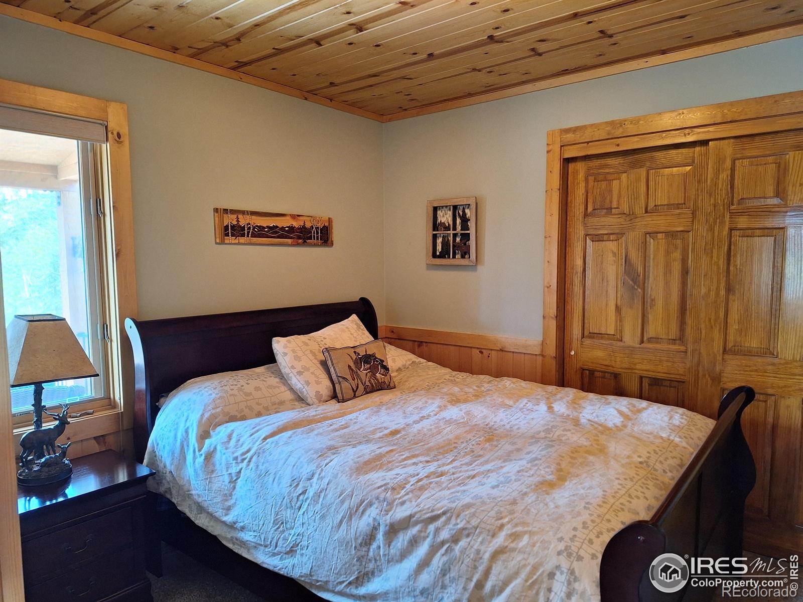 MLS Image #4 for 56  pamlico court,red feather lakes, Colorado