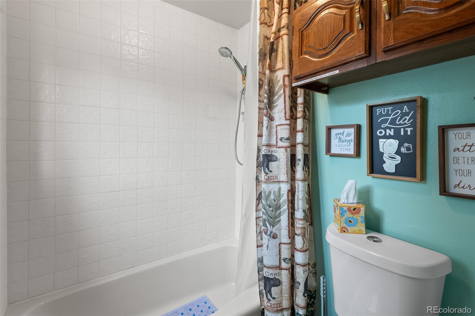 MLS Image #15 for 584  old squaw road,como, Colorado