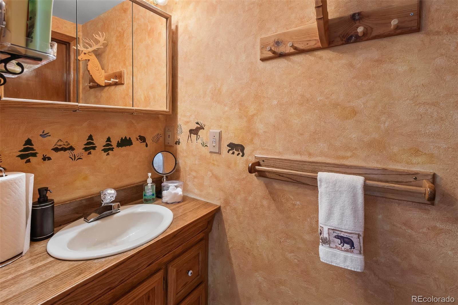 MLS Image #17 for 584  old squaw road,como, Colorado