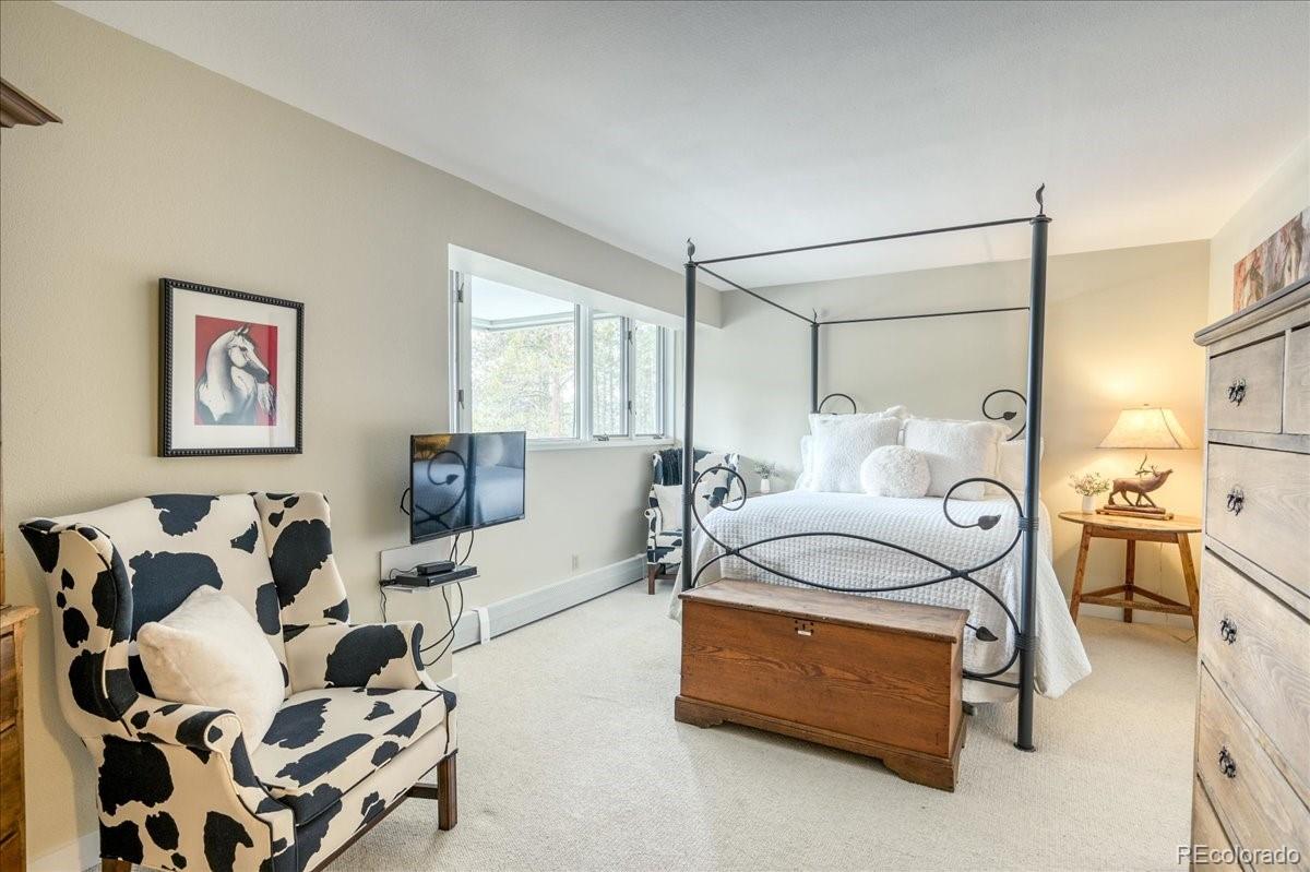 MLS Image #15 for 22097  saints john road,keystone, Colorado
