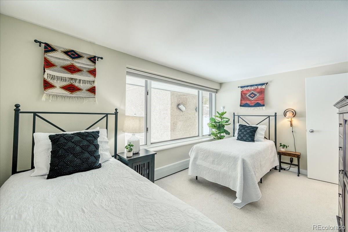MLS Image #20 for 22097  saints john road,keystone, Colorado