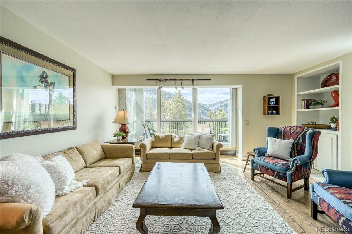 MLS Image #3 for 22097  saints john road,keystone, Colorado