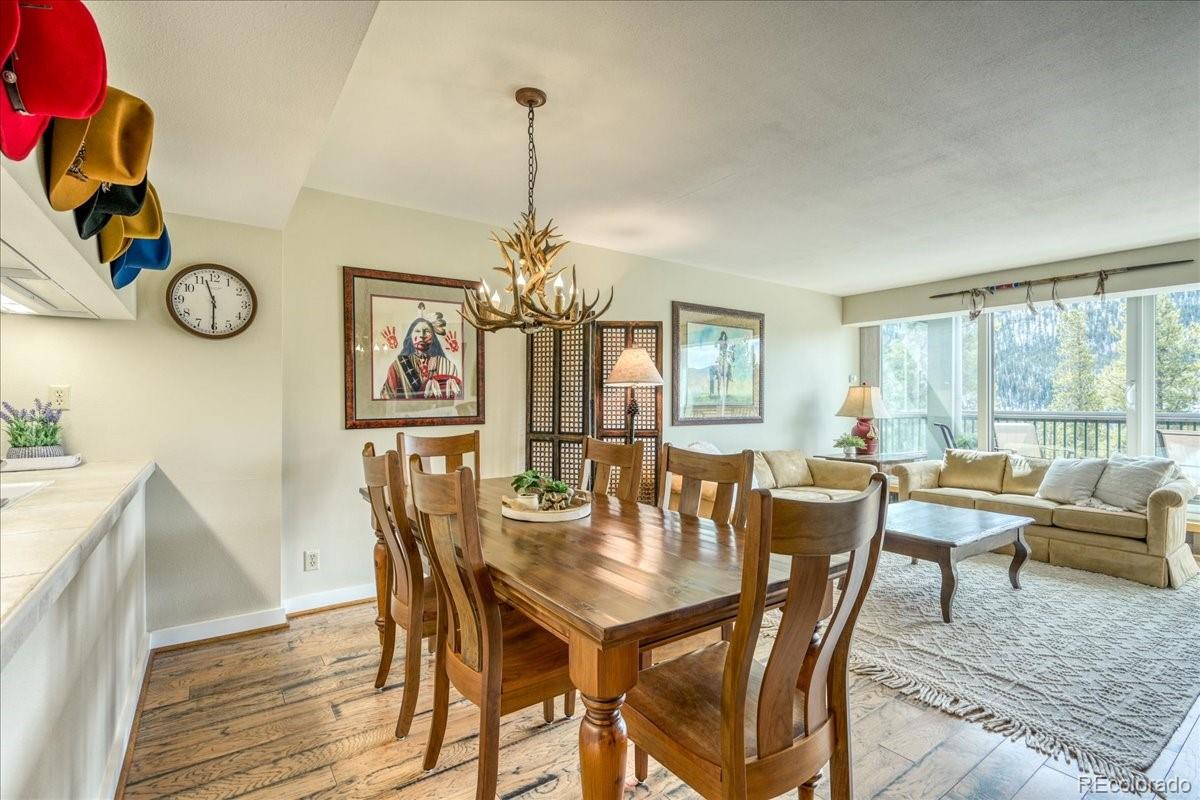 MLS Image #6 for 22097  saints john road,keystone, Colorado