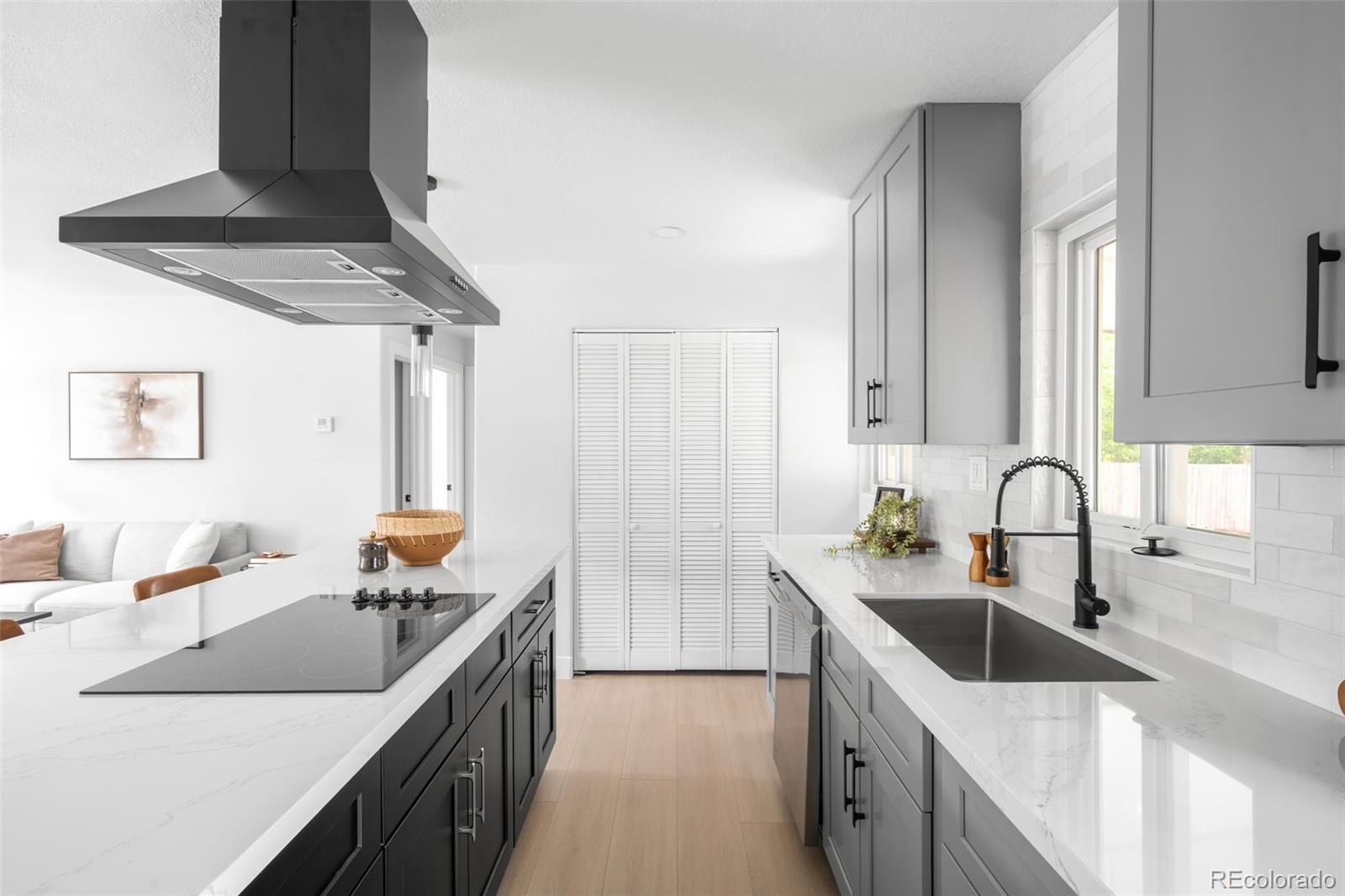 MLS Image #7 for 3065 s eudora street,denver, Colorado