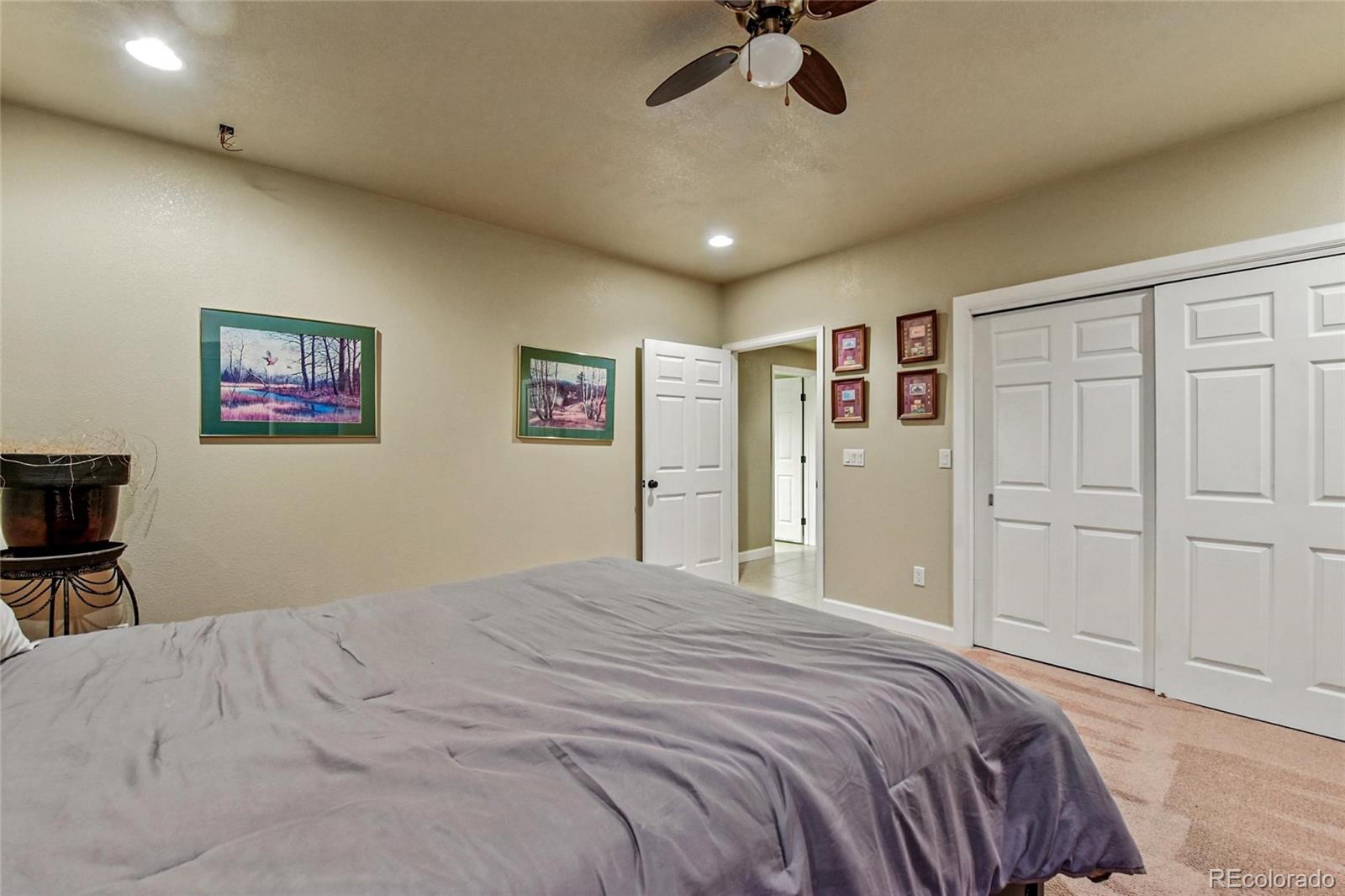 MLS Image #31 for 3534  starry night loop,castle rock, Colorado