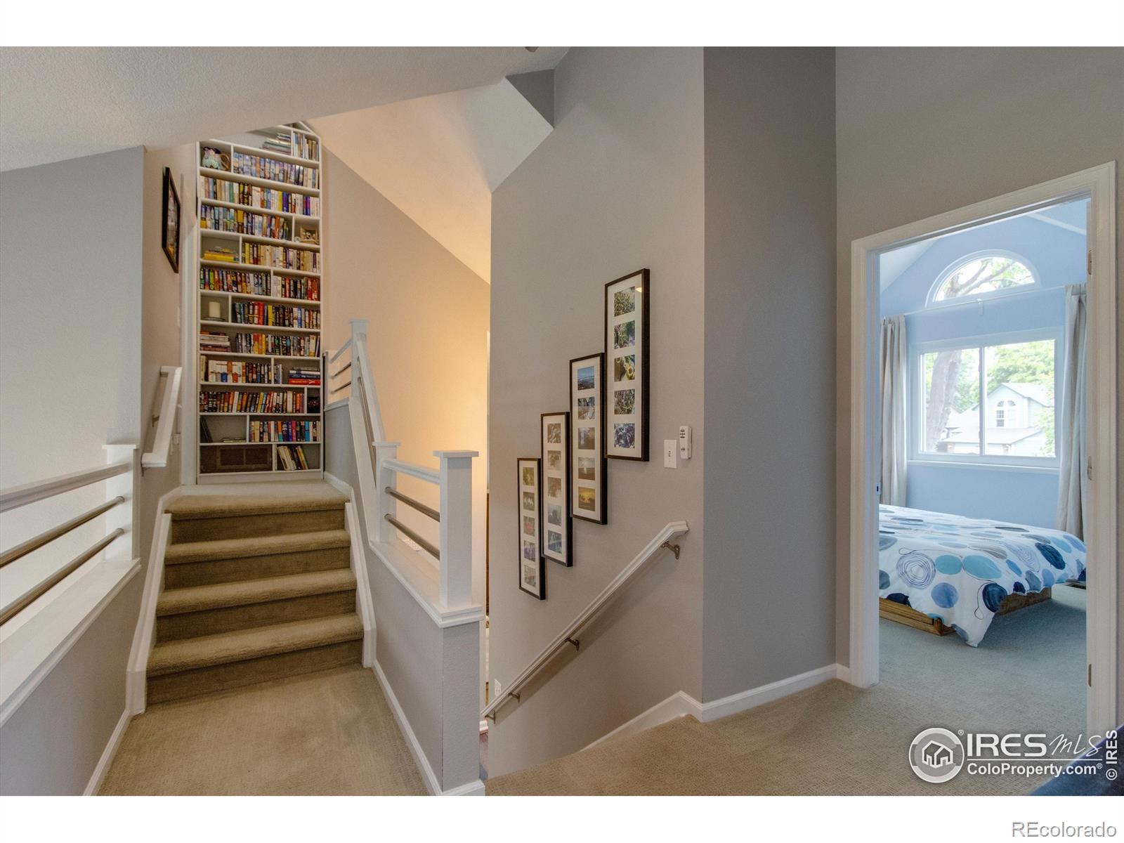 MLS Image #23 for 6255  collegiate drive,highlands ranch, Colorado