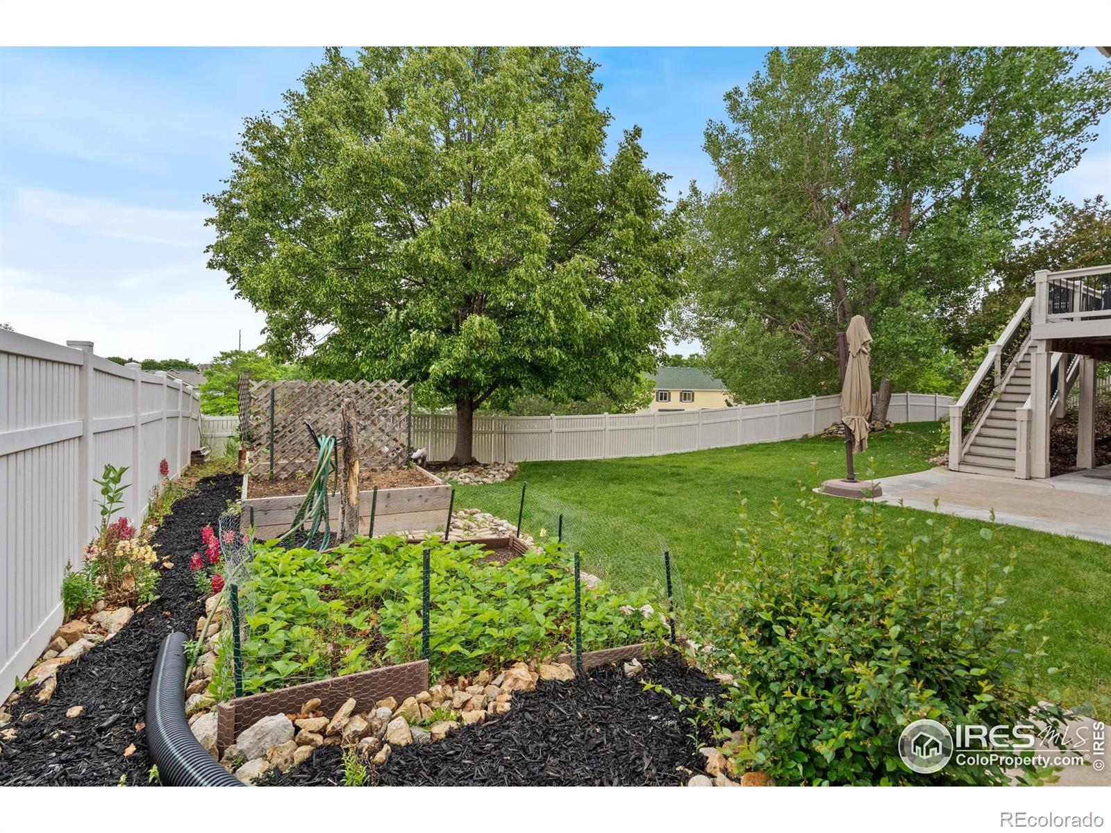 MLS Image #32 for 1926  crested butte court,loveland, Colorado