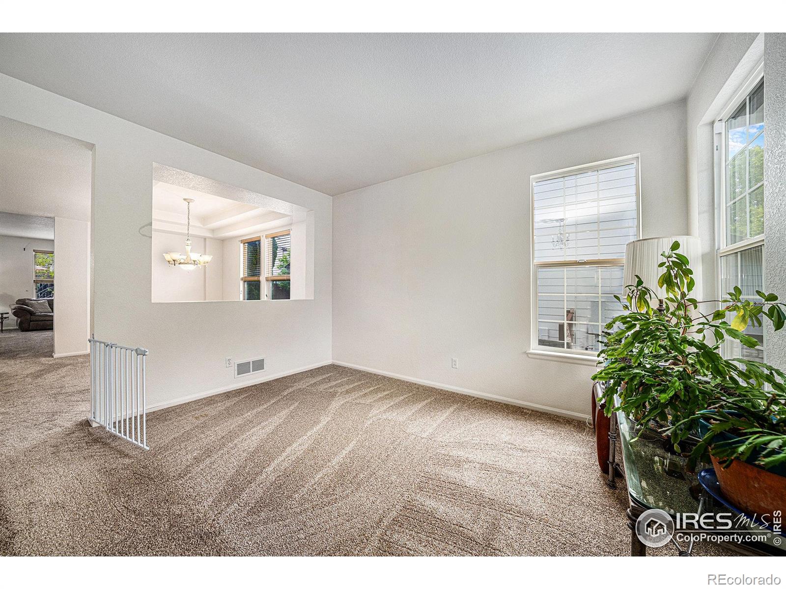 MLS Image #6 for 1874  ute creek drive,longmont, Colorado