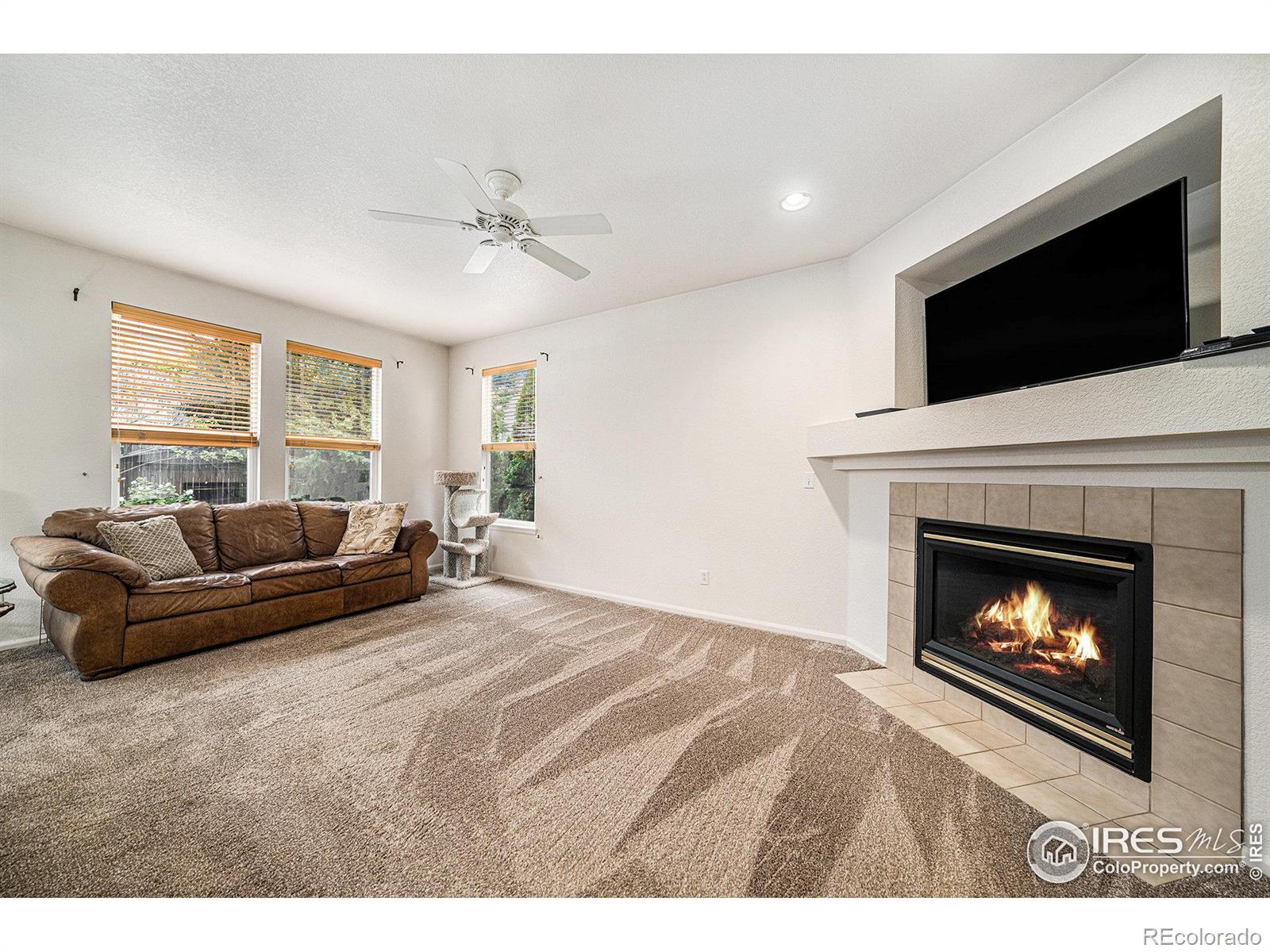 MLS Image #7 for 1874  ute creek drive,longmont, Colorado