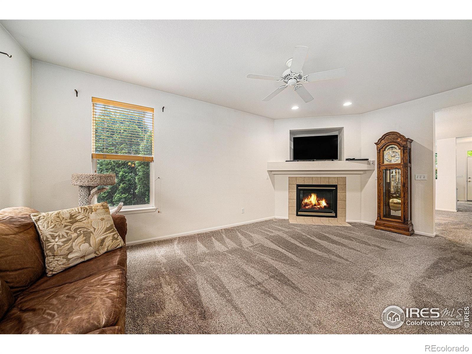 MLS Image #8 for 1874  ute creek drive,longmont, Colorado
