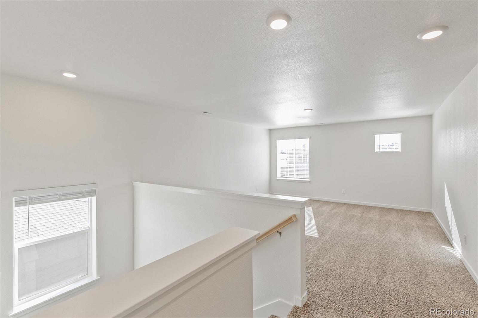 MLS Image #16 for 14269  beebalm avenue,parker, Colorado