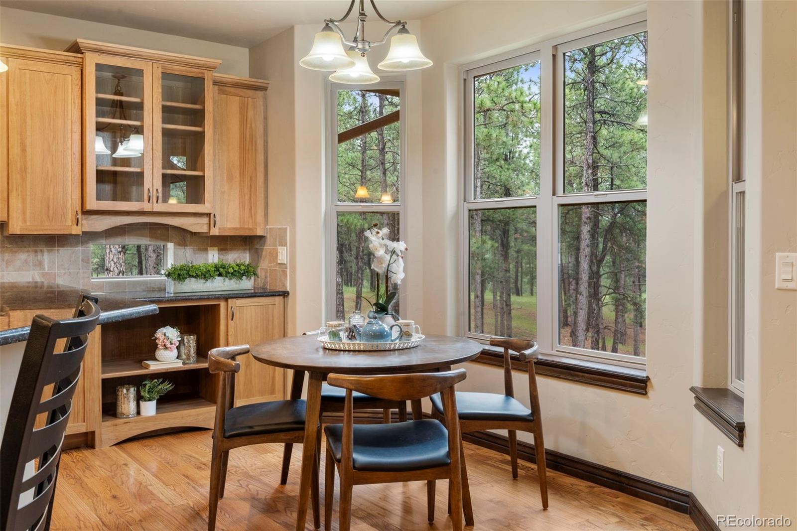 MLS Image #17 for 8395  bar x terrace,colorado springs, Colorado