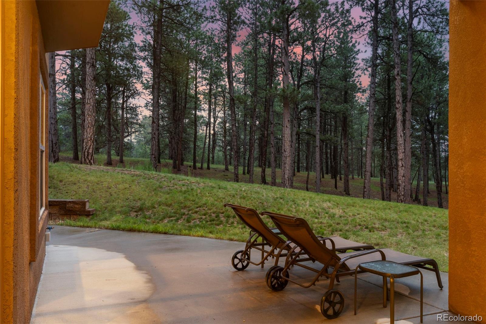 MLS Image #7 for 8395  bar x terrace,colorado springs, Colorado