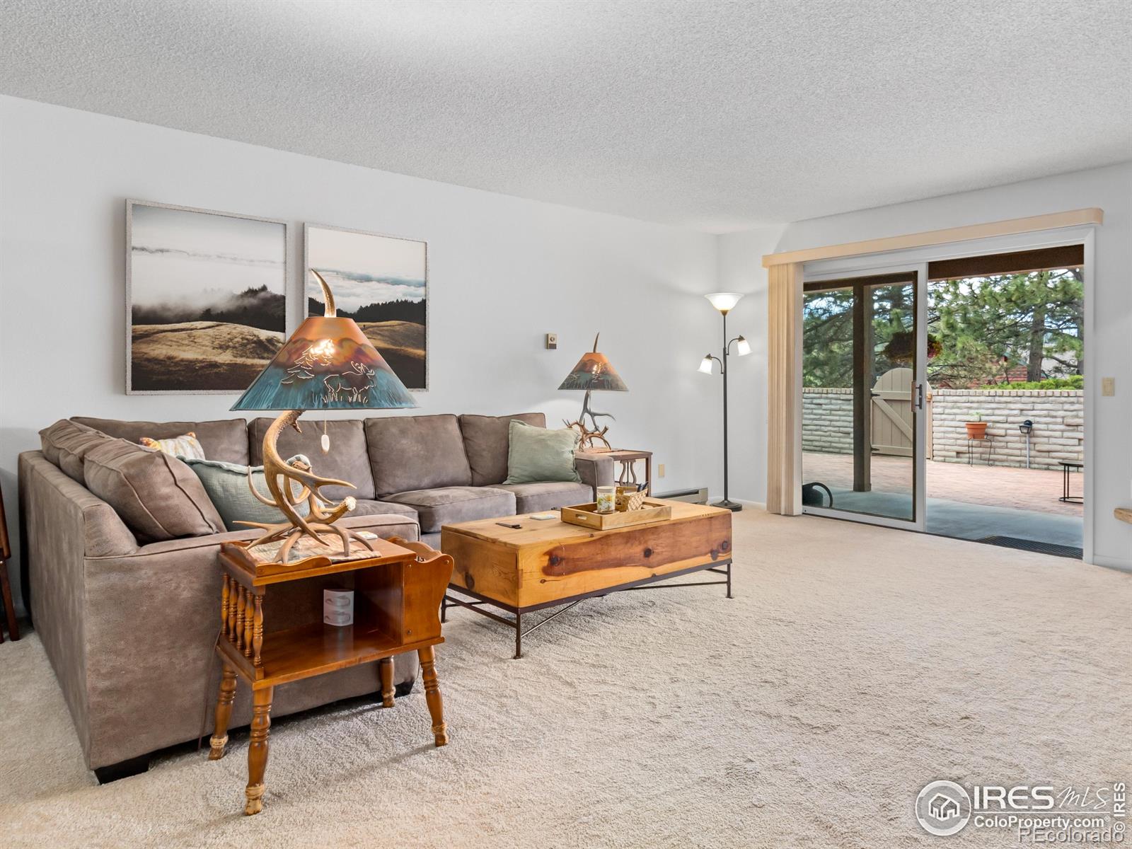 MLS Image #11 for 838  vista lane,estes park, Colorado