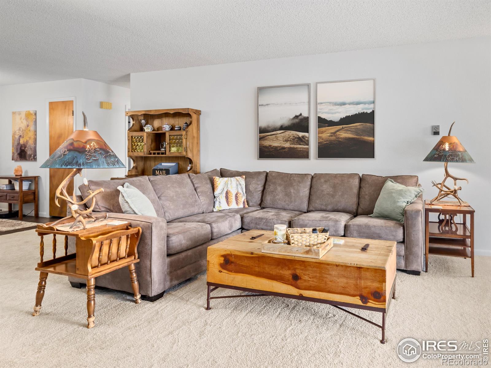 MLS Image #12 for 838  vista lane,estes park, Colorado