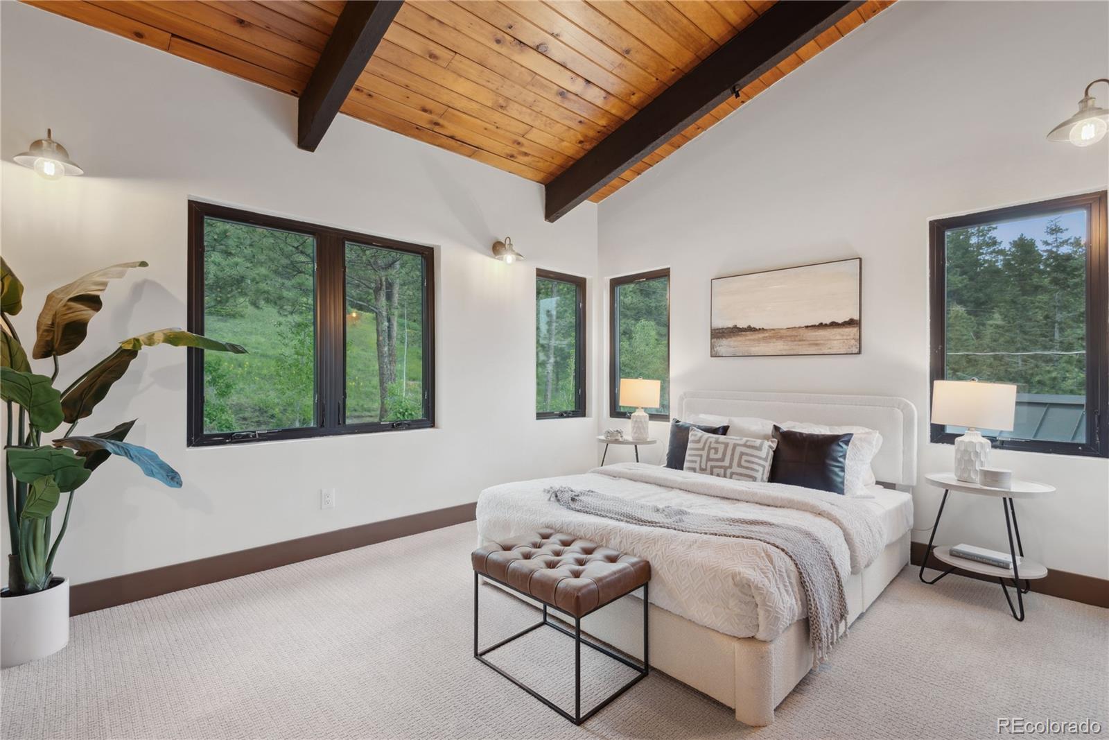 MLS Image #24 for 1298  meadow view drive,evergreen, Colorado