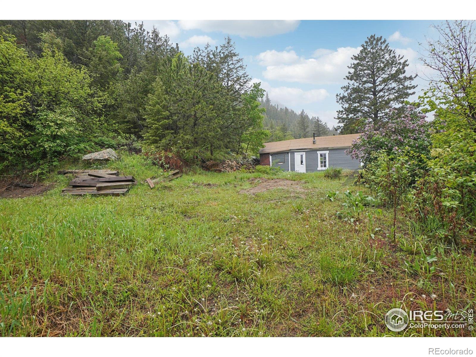 MLS Image #32 for 8493  lefthand canyon drive,jamestown, Colorado