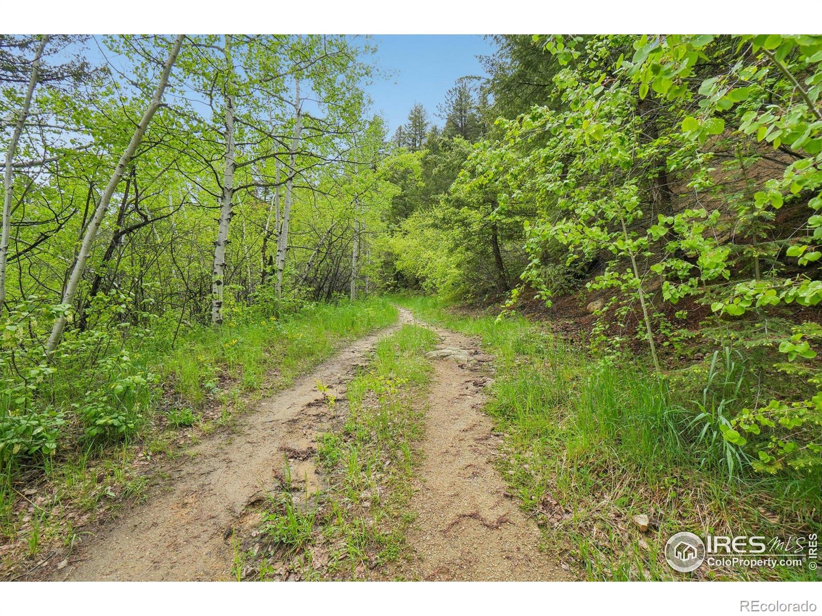 MLS Image #37 for 8493  lefthand canyon drive,jamestown, Colorado