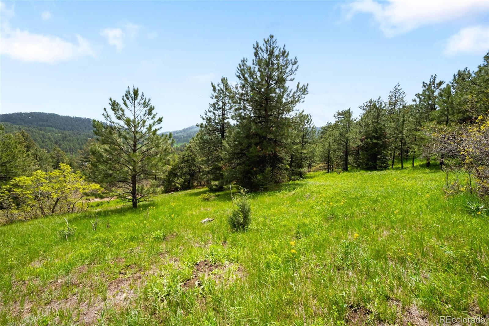 MLS Image #33 for 9633  fox valley drive,morrison, Colorado