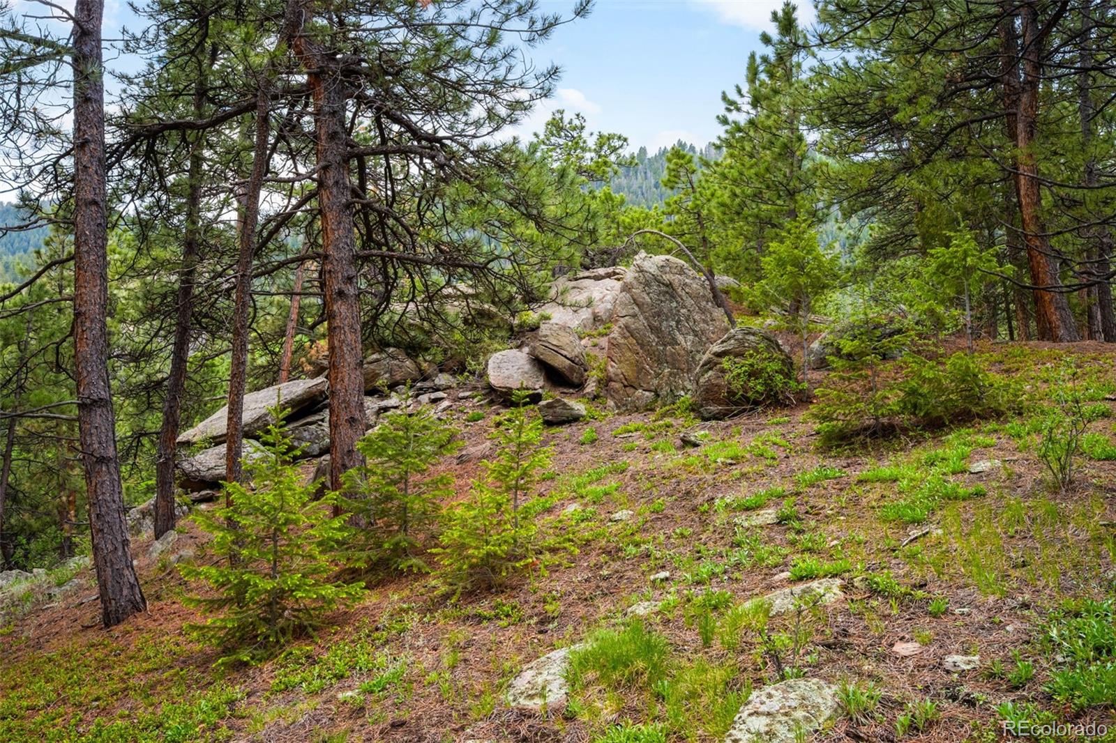 MLS Image #35 for 9633  fox valley drive,morrison, Colorado